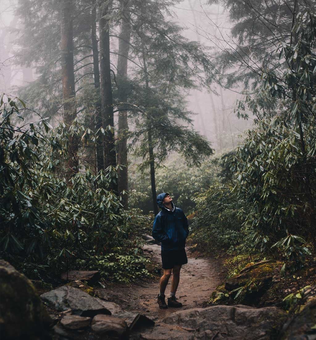 A hiker on a rocky trail through a misty old-growth forest