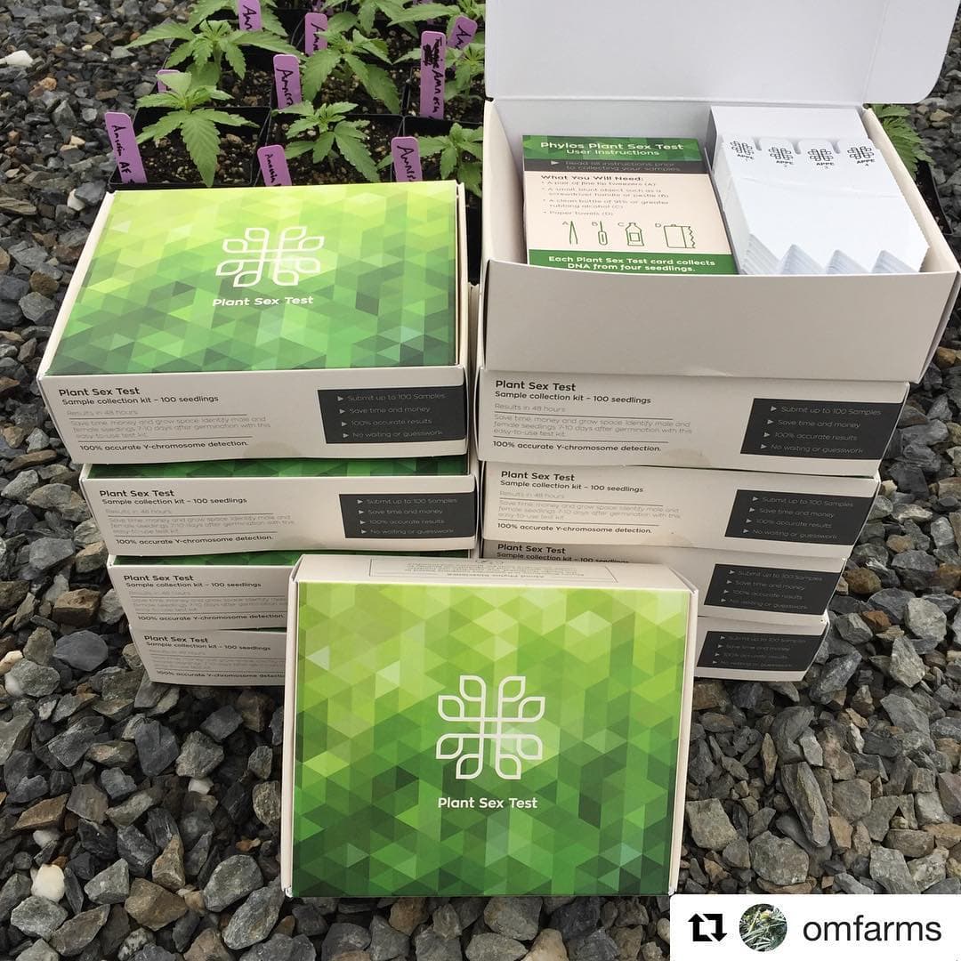 Phylos Bioscience test kit boxes stacked outdoors in front of young potted plants