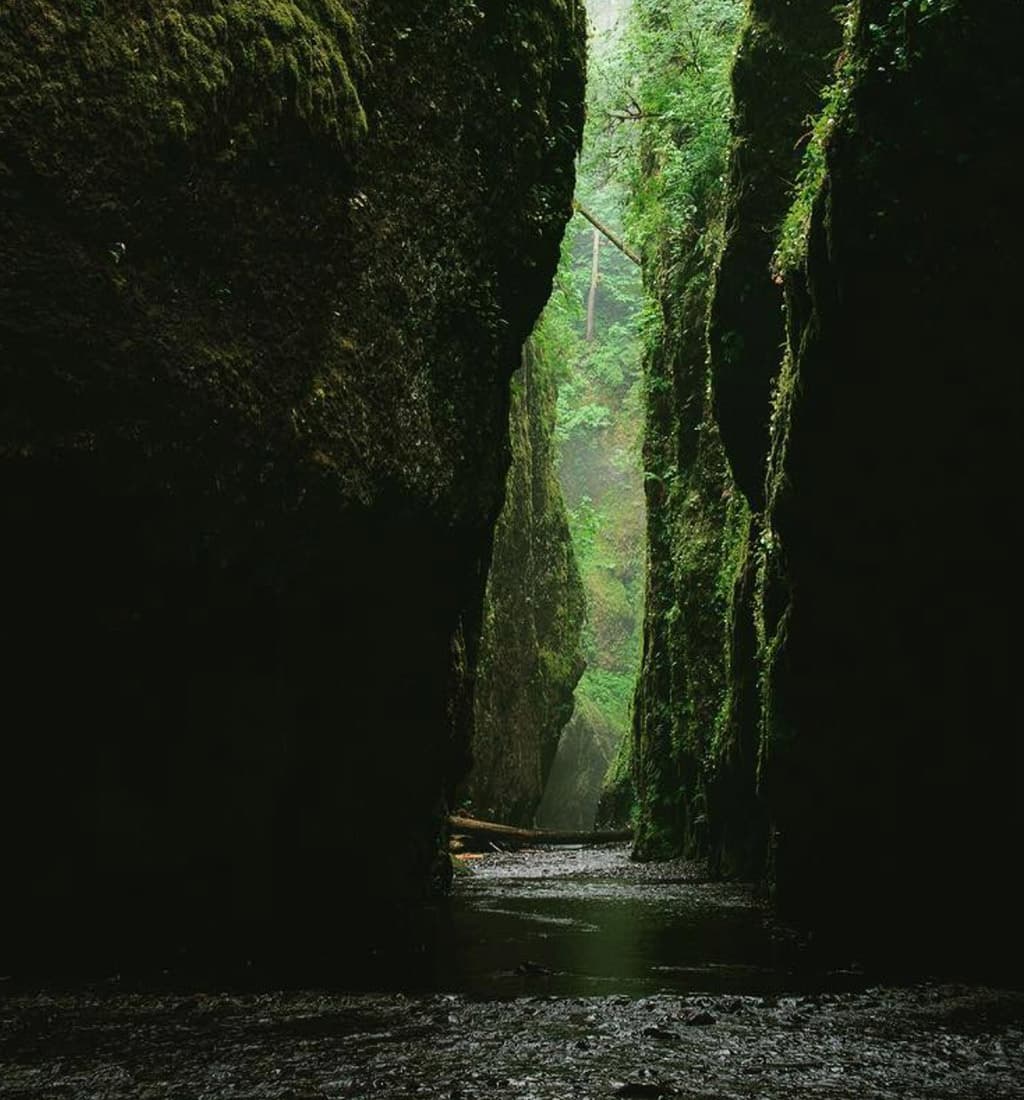 Moss-covered walls of a narrow Pacific Northwest gorge with a stream running through it